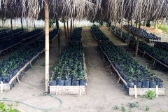 IMG_20200909_154817_5