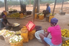 IMG_20210127_080748_8