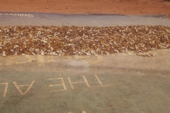 IMG_20210127_081929_7